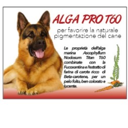 Alga-Pro T60