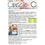 Guscio C